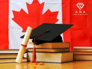 giới thiệu về công ty anaglobal